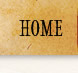 home button