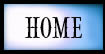 home button