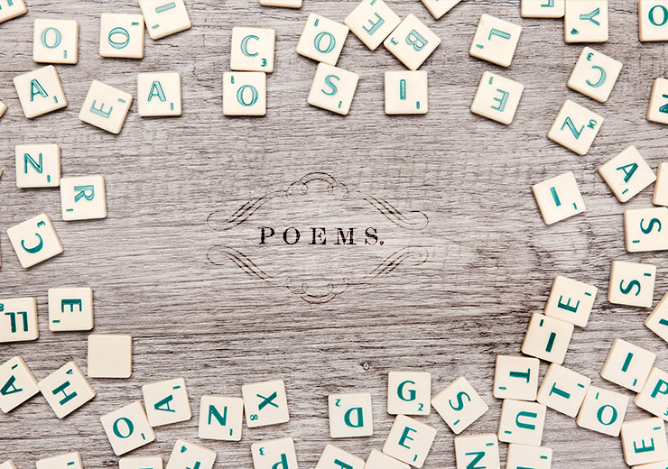 How to Look at a Poem